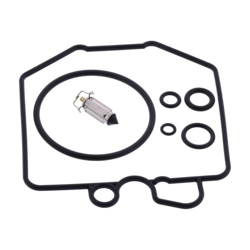 Carburetor revision kit - revision,