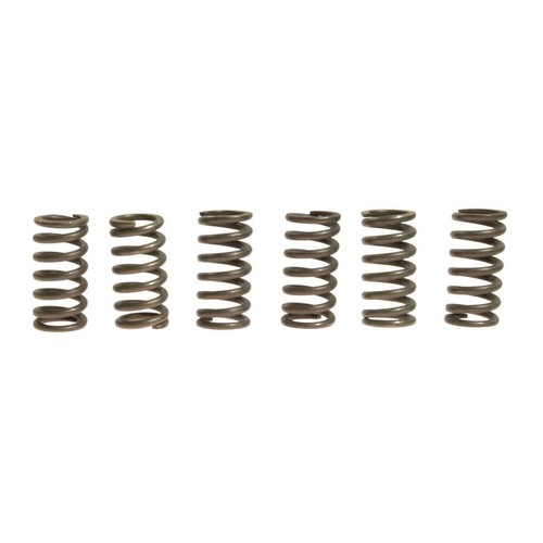 Clutch springs ebc rinf - clutch,